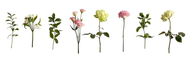 Botanical floral and greenery set on light beige background for bouquet composition and floral