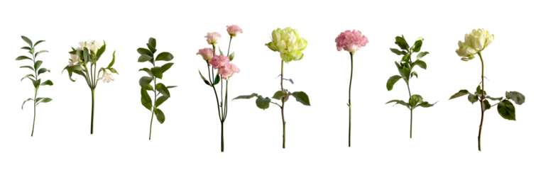 Botanical floral and greenery set on light beige background for bouquet composition and floral