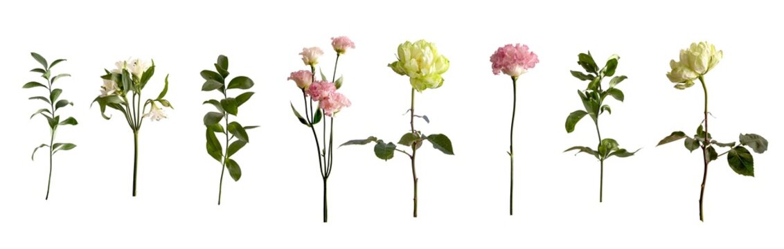 Botanical floral and greenery set on light beige background for bouquet composition and floral