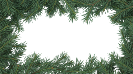 Pine tree branches on black background for Christmas decoration
