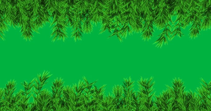 Animation of decoration with green fir tree branches on black background