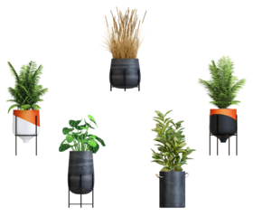 high-quality photograph showcasing a collection of modern potted plants with diverse textures and shapes, ideal for interior design and decoration projects online.