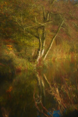 Digital oil painting capturing autumn tree and leaf colours along the Leek branch of the Caldon canal in Staffordshire.
