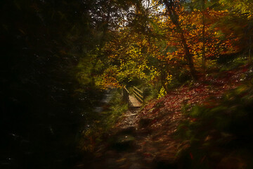 A digital illustration of Wyming Brook autumn colours in the Derbyshire, Peak District National Park.