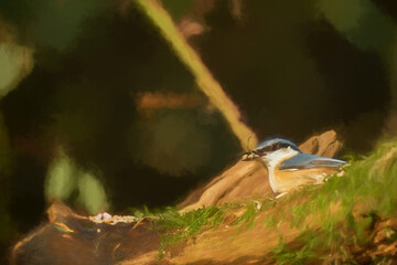 Digital illustration portrait of an Eurasian Nuthatch in the forest.