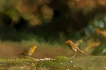 Digital illustration portrait of two European Robins, Erithacus rubecula in a forest.