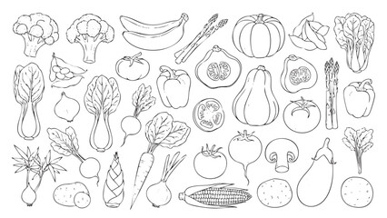 Obraz premium Set of hand drawn vegetable icons isolated on a white background for culinary menu design and organic food packaging projects.