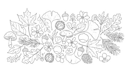 Autumnal Nature Elements Hand Drawn Sketch vector illustration