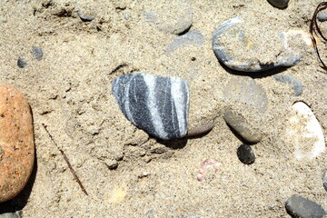 pebbles in the sand on the beach. pebbles background.