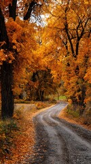 In autumn, the winding road is lined with trees in golden and orange hues
