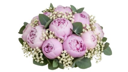 Isolated peony bouquet in pink with baby's breath for wedding or celebration, decoration