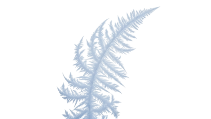 Isolated Frosty Fern Frond, Intricate Cold Pattern. Elegant Leaf Design, Winter Artwork