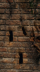 old brick wall background