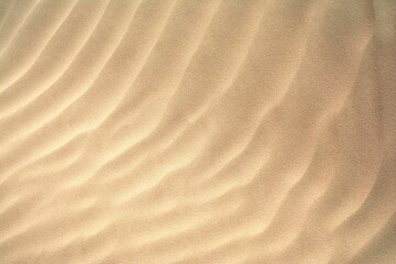 Desert Dune Texture Close Up. Sand texture. Desert surface detail. Abstract background. Sand dune texture . Shifting sand fines in the wind. Sunlit Sand Texture with Soft Waves 