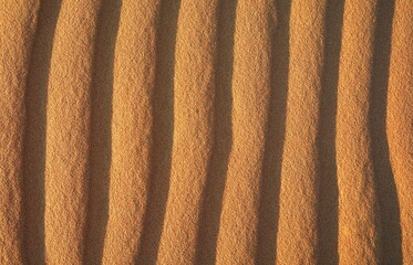 Desert Dune Texture Close Up. Sand texture. Desert surface detail. Abstract background. Sand dune texture . Shifting sand fines in the wind. Sunlit Sand Texture with Soft Waves 