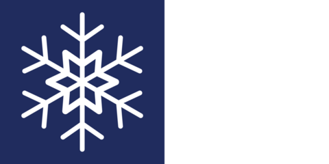 Concept of winter and cold weather. Snowflake crystals. Festive cold stars, seasonal decor. Winter snow flakes. New year and christmas ornament. Snow thick icons set. Flat snowflake icons, silhouette.