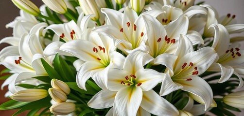 Elegant white lilies arranged in a lush bouquet, peaceful, bright