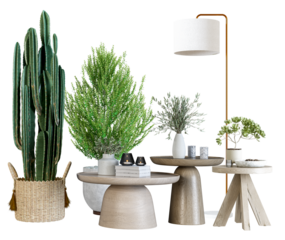 a captivating photograph showcasing a diverse collection of potted plants arranged on stylish tables against a solid black backdrop, ideal for interior design.