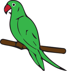 A cute cartoon illustration of a colorful tropical macaw parrot with red and blue feathers perched on a branch and isolated on a white background as a vector wildlife nature asset