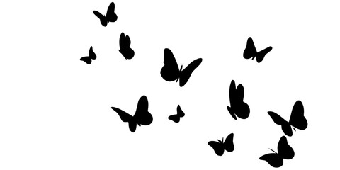 Black butterflies flying in formation on white background