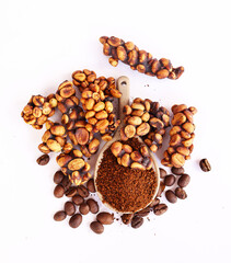 Luwak coffee beans are a rare and expensive delicacy