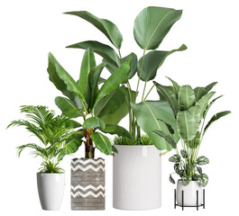 a striking photograph features an assortment of vibrant green plants in elegant planters against a dark backdrop, perfect for botanical and interior design projects.
