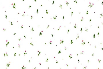 A minimal botanical watercolor featuring linear stems, airy daisy blossoms, and scattered foliage, designed with understated elegance for modern prints and clean patterns.