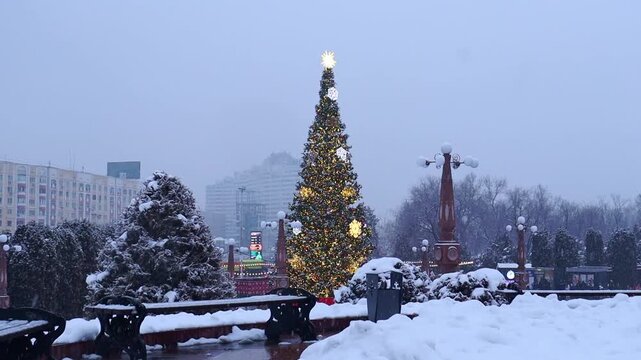 22 December 2025, Al Farabi Avenue, First President's Park, Almaty City Kazakhstan
