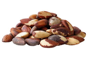 Pile of Brazil nuts, showing white & brown tones