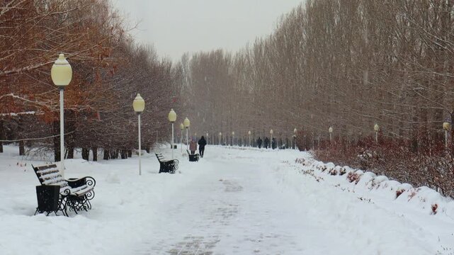 22 December 2025, Al Farabi Avenue, First President's Park, Almaty City Kazakhstan