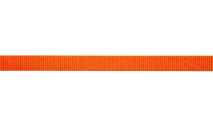 Bright orange nylon webbing strap on black background