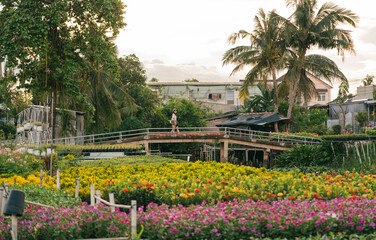 Obraz premium A serene escape: a person strides across a small bridge amidst a vibrant flower field