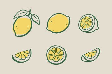 Lemon slices doodle set hand drawn vector illustration