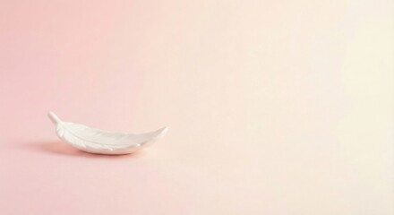 Soft White Feather Resting on a Pale Pink Background