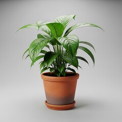 Obraz premium Green Plant in Terracotta Pot on Gray Background