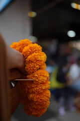 japanese food ingredient