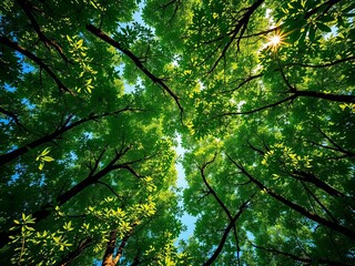 Fototapeta premium Emerald canopy bursts with sun-kissed joy, a verdant mosaic from the heavens, joyful foliage, vibrant