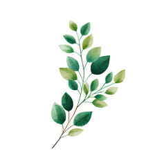 branch with green leaves