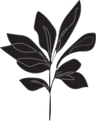 Elegant black and white lily of the valley blossom tucked inside a book featuring a floral spring pattern design with a green leaf sprout representing nature growth and garden life