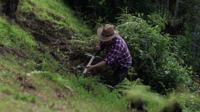 An Old farmer in a plaid shirt and cowboy hat hoeing the soil in a farm field