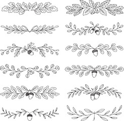 Hand drawn botanical oak leaf dividers and autumn acorn branch borders set © Juhi