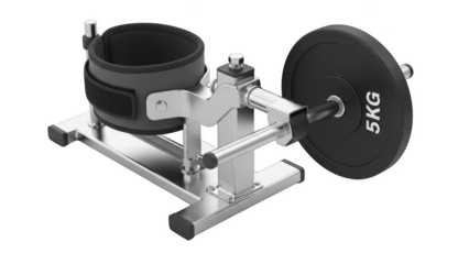 Gym equipment ankle strap with 5kg weight plate fitness