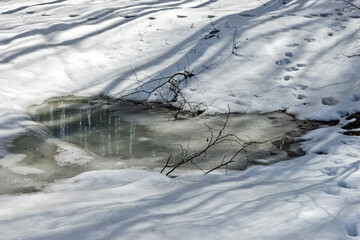 Mountain laWinter landscape on a mountain with trees and snow in Serbia