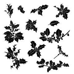 Silhouettes of Holly leaves and berries, traditional Christmas decorative design elements isolated on white background, EPS10. Vector illustrations