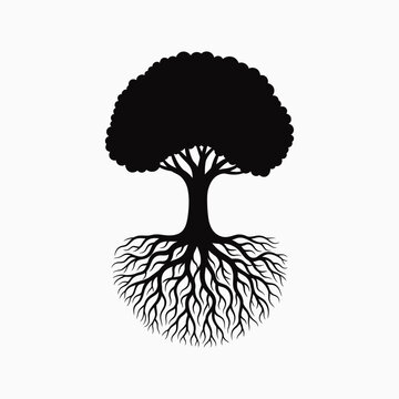 Silhouette of a tree with roots
