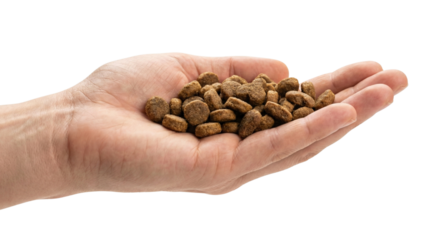 Dry pet food held in hand