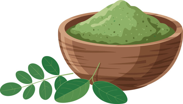 Moringa Powder in Wooden Bowl with Fresh Leaves Vector Illustration