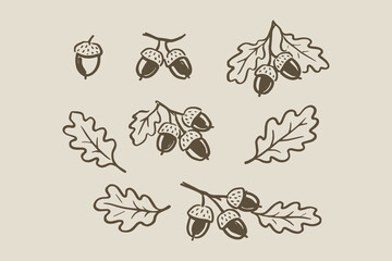 Acorns and oak leaves doodle set vector illustration