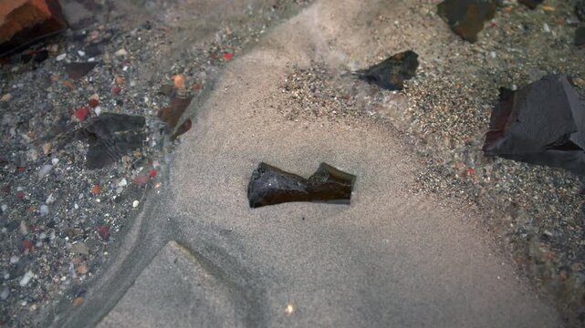 Discovering Bottle Among Shells And Stones, Weathered Bottle Lies Among Shells Near Shoreline . Media