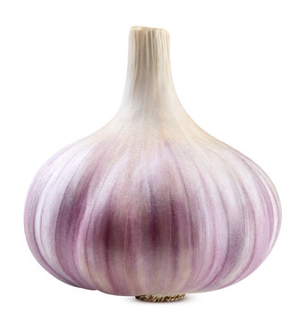 Fresh raw garlic head isolated on transparent. Garlic full macro PNG